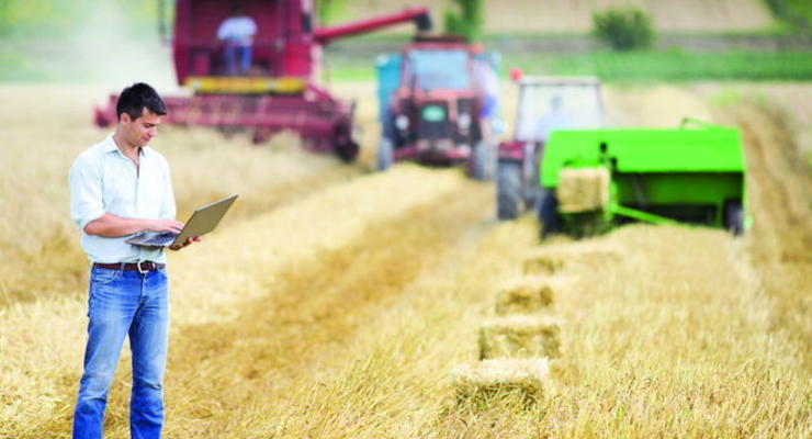 В Украине планируют увеличить экспорт зерновых