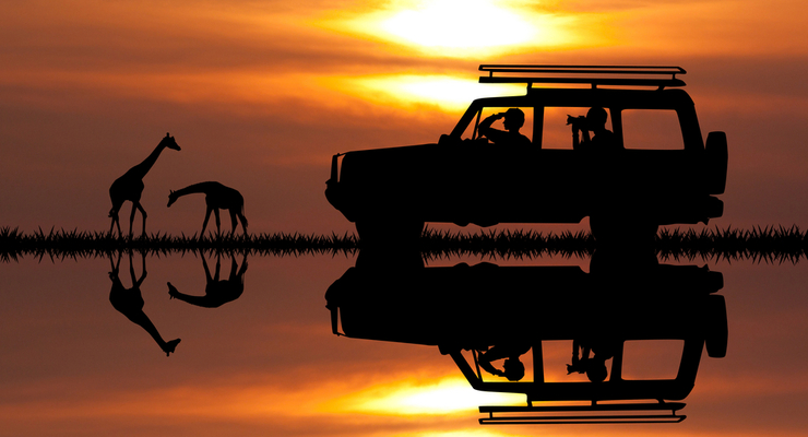 Сафари на закате / depositphotos.com