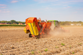 В Украине заработная плата работников сельского хозяйства увеличилась на 18,5%