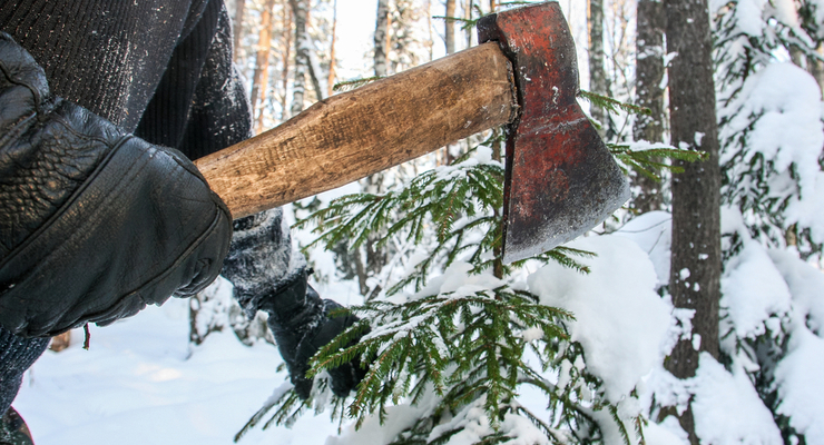 Иллюстративное фото / depositphotos