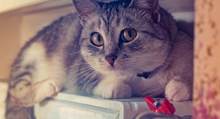 Иллюстративное фото / depositphotos