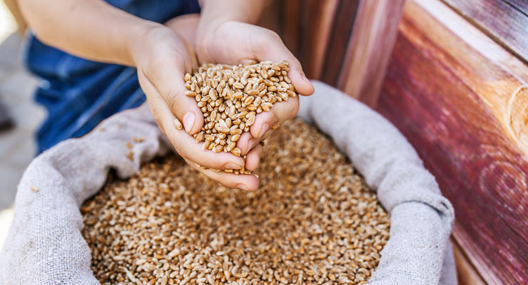 В Китае больше половины всего зерна в мире — чего ожидать дальше
