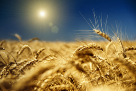 Экономика Украины ухудшилась не так сильно, как ожидалось - Госстат