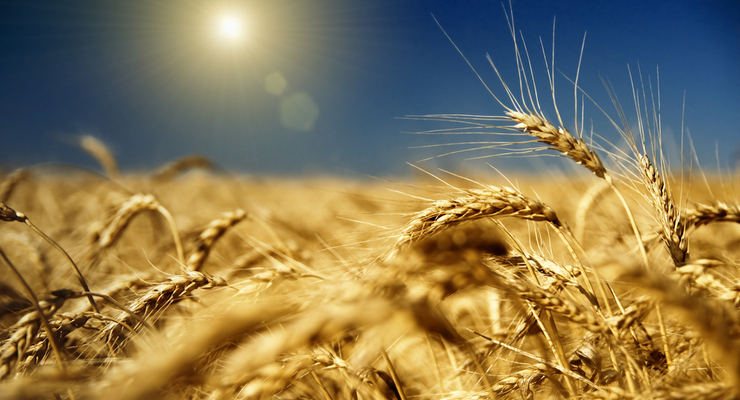 Иллюстративное фото / depositphotos