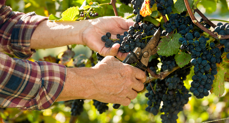 Иллюстративное фото / depositphotos