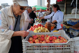 В Украине могут ввести продуктовые карточки - что известно