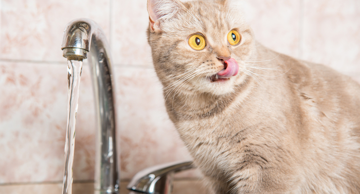 Иллюстративное фото / depositphotos