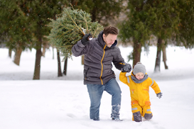 Где в Киеве сдать елку на переработку - 33 пункта приема