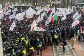 Протесты ФОПов в Украине: Активисты штурмуют Раду