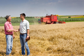 Украина в четвертый раз ставит рекорды по аграрному экспорту