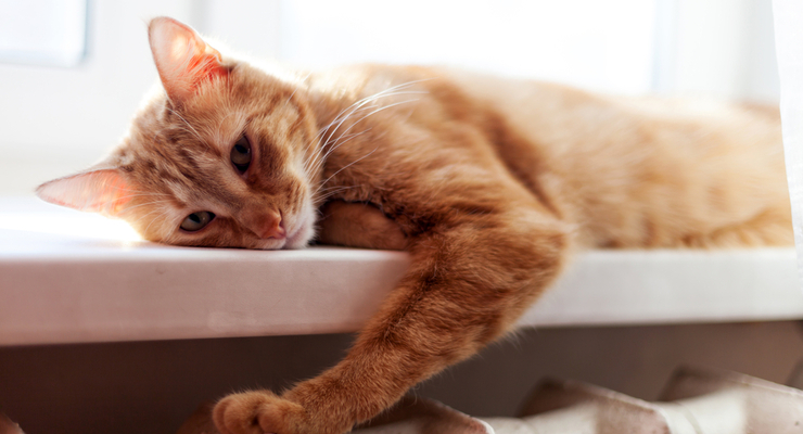 Иллюстративное фото / depositphotos