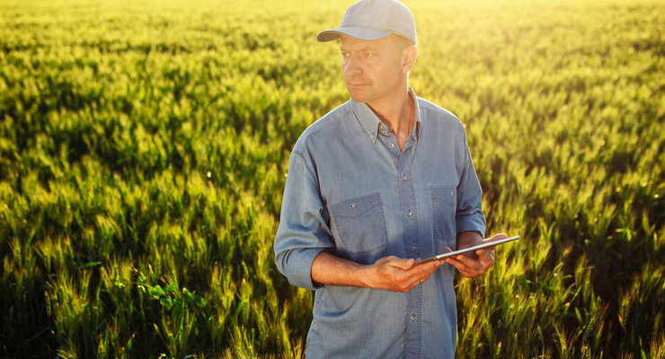 Иллюстративное фото / depositphotos