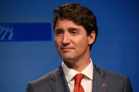 Канада поставит для Украины летальное оружие - названы суммы