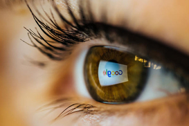 Google выделил 15 млн долл на помощь Украине - подробности