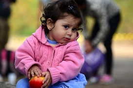 Италия предоставит украинским беженцам годовой вид на жительство