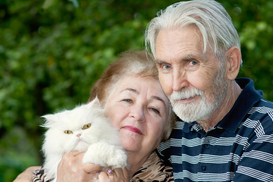 Средняя пенсия военных превысила 8,5 тысяч гривен - Минсоцполитики