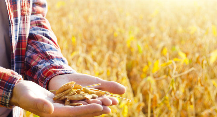 Иллюстративное фото / depositphotos.com