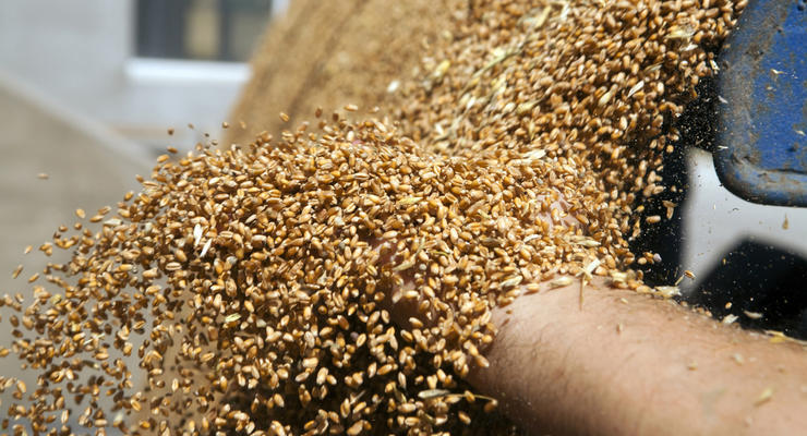 Оккупанты вывезли из Луганской области около 100 тысяч тонн зерна