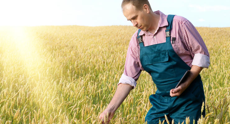 Иллюстративное фото / depositphotos.com