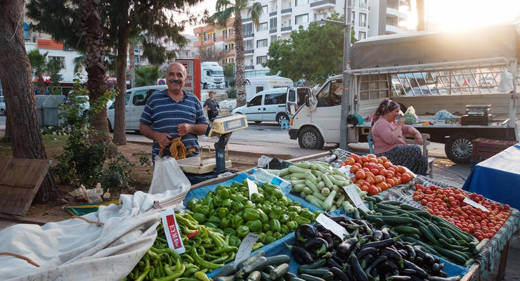 Когда в Украине снизятся цены на ранние овощи: прогноз экономиста