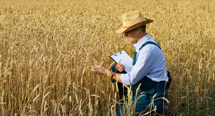 Иллюстративное фото / depositphotos.com