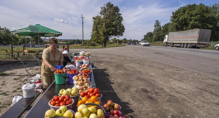 Когда ранние овощи в Украине подешевеют - прогноз эксперта