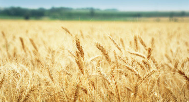 Ілюстративне фото / depositphotos.com