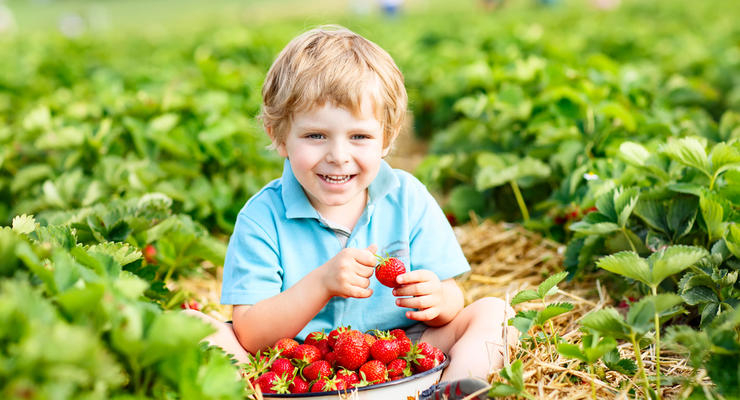 Ілюстративне фото / depositphotos.com