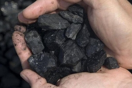 Германия прекратит закупать уголь и нефть из РФ: Названы сроки