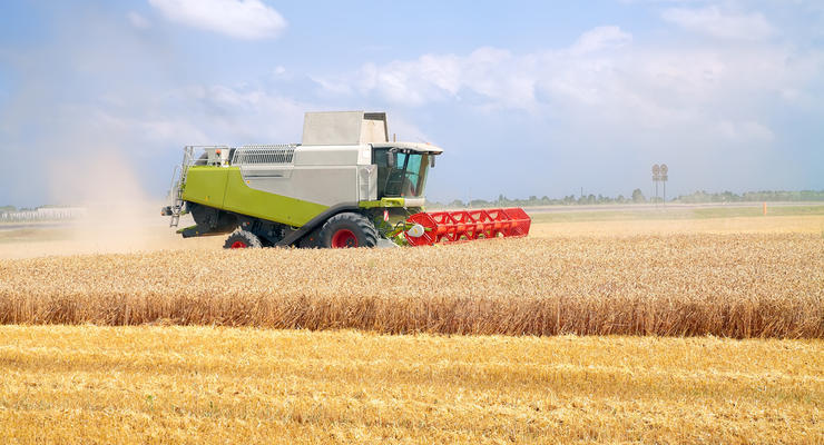 Россия вывезла из Украины зерновых и масличных культур на 600 млн долларов - KSE