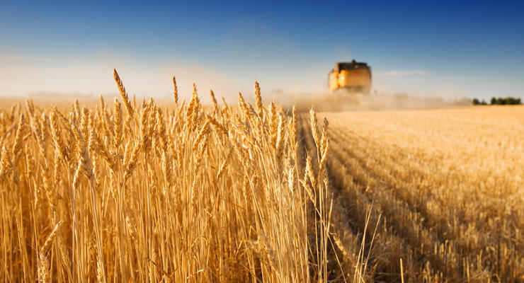 Украина и США разрабатывают "план Б" для экспорта зерна