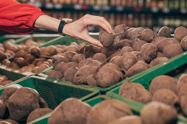 Буряк в Україні дешевшає: Експерти назвали причину цінового спаду