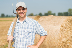 "Зерновий коридор": Скільки агропродукції експортувала Україна за 22 дні