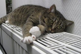 У Києві затвердили тарифи на опалення та гарячу воду: Кого стосується