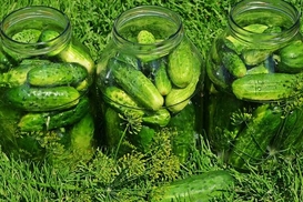 В Україні зросли ціни на огірки: Чому подорожчали й скільки коштують