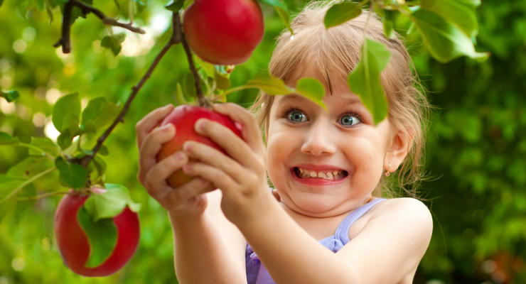 Иллюстративное фото / depositphotos.com