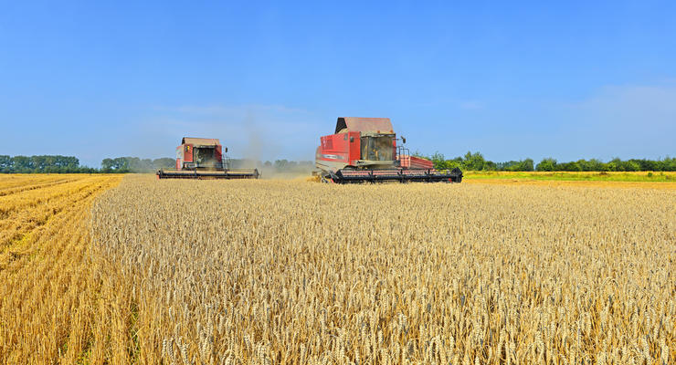 Україна відправить Ефіопії та Сомалі 50 тис тонн пшениці як гуманітарну допомогу