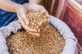 В ООН работают над продолжением "зерновой инициативы" на год