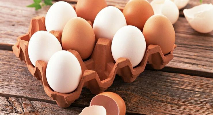 Цены на яйца в Украине выросли до максимального уровня: Когда будет удешевление
