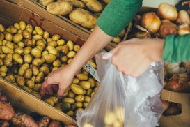 В Украине подешевели картофель, капуста и свекла: Что будет с ценой осенью