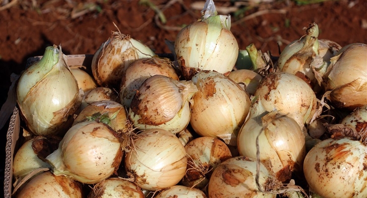 Иллюстративное фото / EPA/UPG