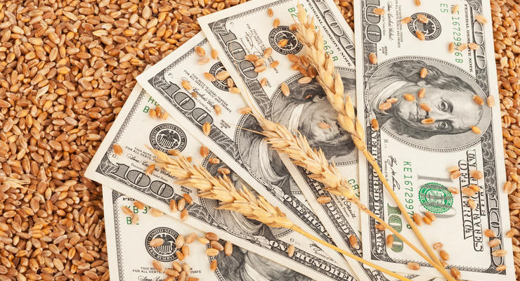 Хищение средств на экспорте зерна: СБУ ликвидировала коррупционную схему на таможне