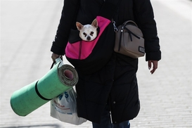 Поток переселенцев снизился: Сколько украинцев прибыло в Эстонию с начала войны