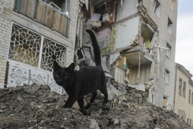 Как правильно зафиксировать разрушение жилья, чтобы получить компенсацию