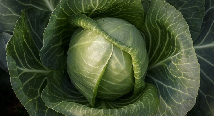 Иллюстративное фото / EPA/UPG