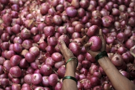 Цены на лук продолжают удивлять: на сколько подорожал популярный овощ