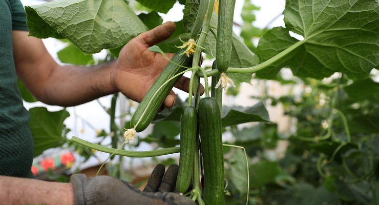 Иллюстративное фото / EPA/UPG