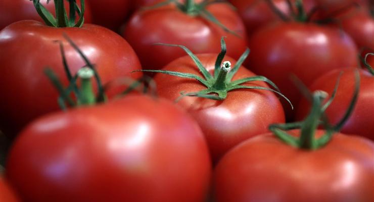 В Украине растут цены на томаты: что влияет на стоимость продукции