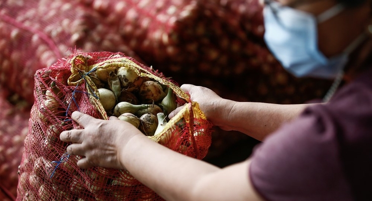 Иллюстративное фото / EPA/UPG