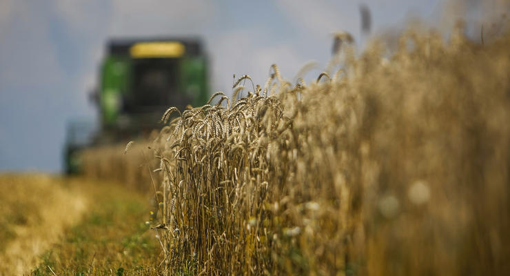 Незаконный сбыт пшеницы: на Волыни разоблачили растрату 200 тонн государственного зерна